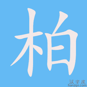 柏字笔画、笔顺、笔划 - 柏字怎么写?