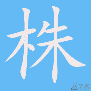 株字笔画、笔顺、笔划 - 株字怎么写?