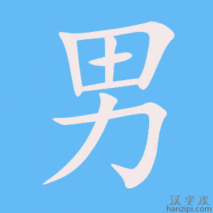 男字笔画、笔顺、笔划 - 男字怎么写?