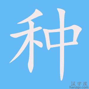 种字笔画、笔顺、笔划 - 种字怎么写?