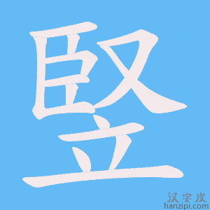 竪字笔画、笔顺、笔划 - 竪字怎么写?