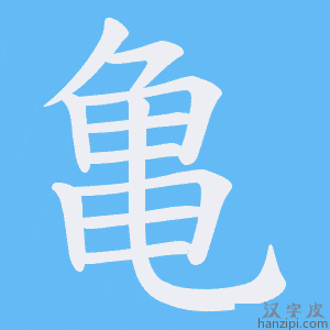 《亀》的笔顺动画写字动画演示