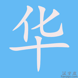 《华》的笔顺动画写字动画演示