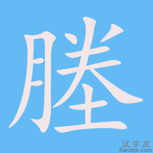 《塍》的笔顺动画写字动画演示