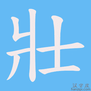 《壯》的笔顺动画写字动画演示