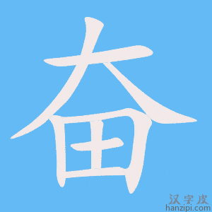 《奋》的笔顺动画写字动画演示