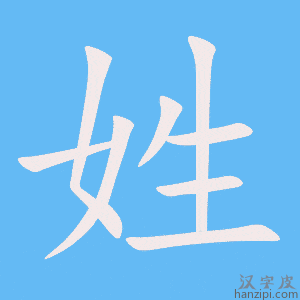 《姓》的笔顺动画写字动画演示