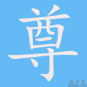 《尊》的笔顺动画写字动画演示