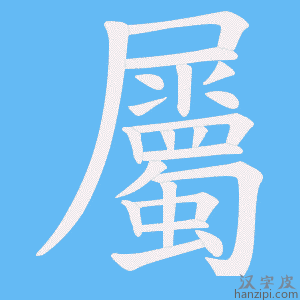 《屬》的笔顺动画写字动画演示