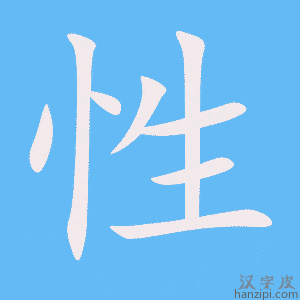 《性》的笔顺动画写字动画演示