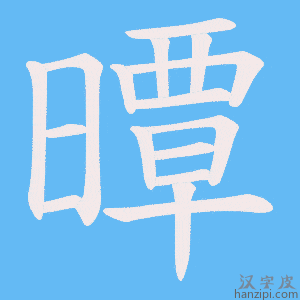 《曋》的笔顺动画写字动画演示