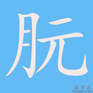 《朊》的笔顺动画写字动画演示