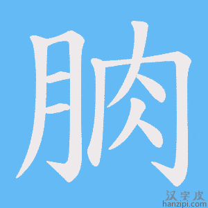 《朒》的笔顺动画写字动画演示
