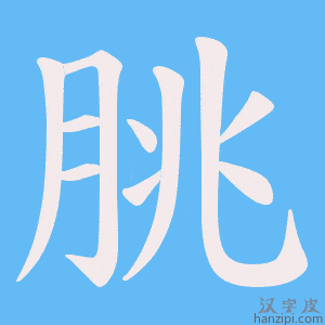 《朓》的笔顺动画写字动画演示