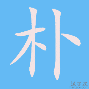 《朴》的笔顺动画写字动画演示