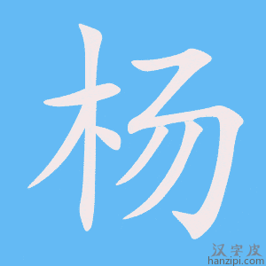 《杨》的笔顺动画写字动画演示