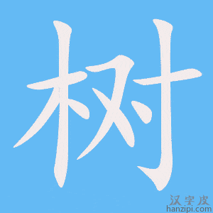 《树》的笔顺动画写字动画演示
