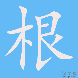 《根》的笔顺动画写字动画演示