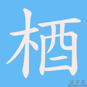 《梄》的笔顺动画写字动画演示