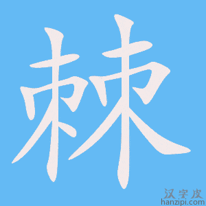 《棘》的笔顺动画写字动画演示