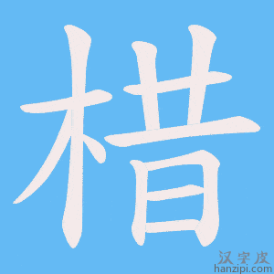 《棤》的笔顺动画写字动画演示