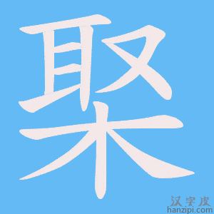 《棸》的笔顺动画写字动画演示