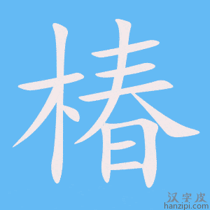 《椿》的笔顺动画写字动画演示