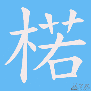 《楉》的笔顺动画写字动画演示