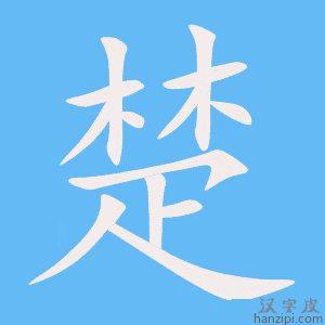 《楚》的笔顺动画写字动画演示
