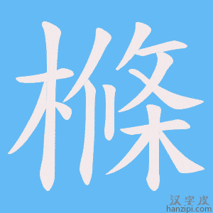 《樤》的笔顺动画写字动画演示