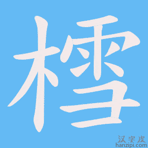 《樰》的笔顺动画写字动画演示