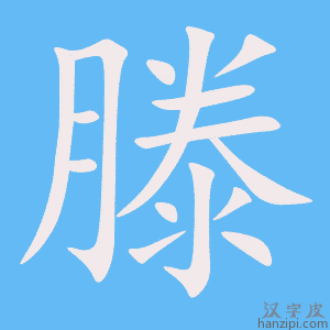 《滕》的笔顺动画写字动画演示