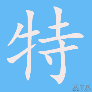 《特》的笔顺动画写字动画演示