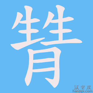 《甧》的笔顺动画写字动画演示