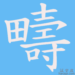 《疇》的笔顺动画写字动画演示