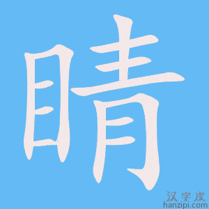 《睛》的笔顺动画写字动画演示