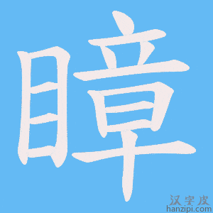 《瞕》的笔顺动画写字动画演示