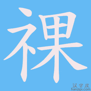 《祼》的笔顺动画写字动画演示