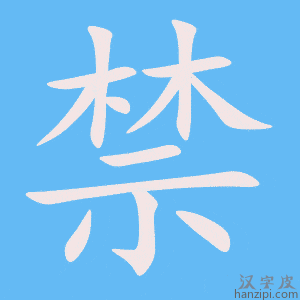 《禁》的笔顺动画写字动画演示
