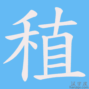 《稙》的笔顺动画写字动画演示