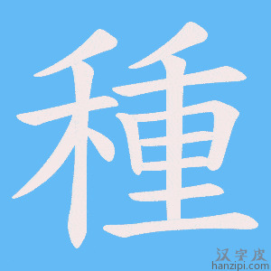 《種》的笔顺动画写字动画演示