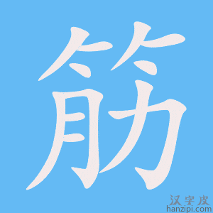 《筋》的笔顺动画写字动画演示