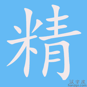 《精》的笔顺动画写字动画演示