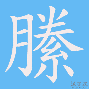 《縢》的笔顺动画写字动画演示