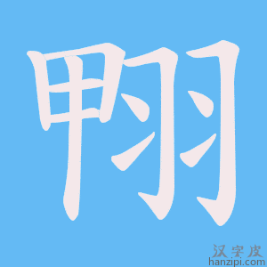 《翈》的笔顺动画写字动画演示