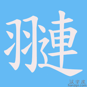 《翴》的笔顺动画写字动画演示