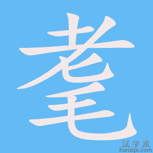 《耄》的笔顺动画写字动画演示
