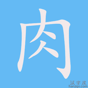 《肉》的笔顺动画写字动画演示