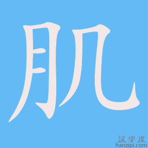 《肌》的笔顺动画写字动画演示