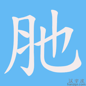 《肔》的笔顺动画写字动画演示